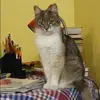 Отзыв от Карина Крюкова